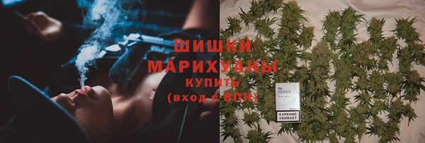амф Зеленодольск