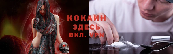молекула духа Зеленокумск
