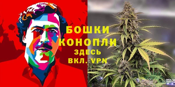 ПСИЛОЦИБИНОВЫЕ ГРИБЫ Зерноград