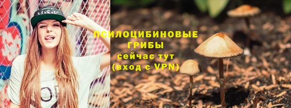 молекула духа Зеленокумск
