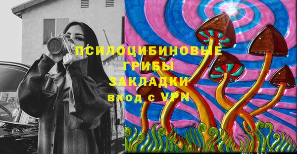 молекула духа Зеленокумск